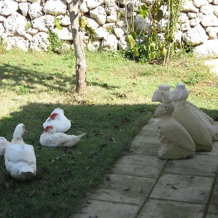 Masseria Copertini 3*