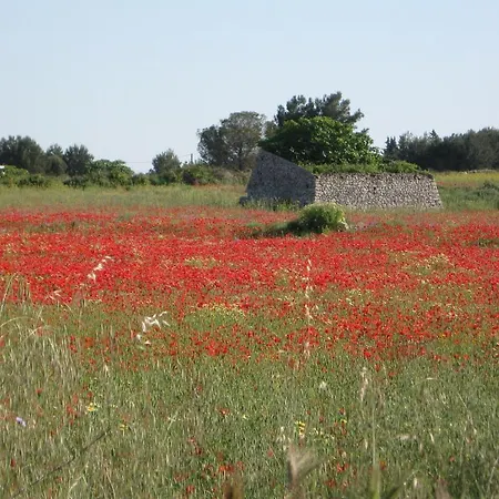 Séjour à la campagne Masseria Copertini Vernole